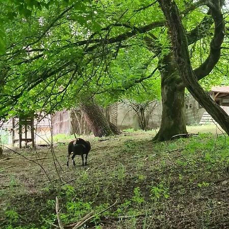Bed & Breakfast L'ecrin Du Temps