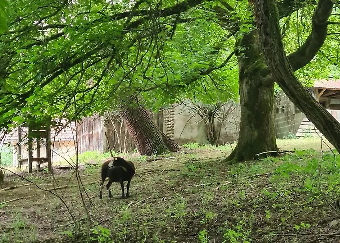 Bed & Breakfast L'ecrin Du Temps